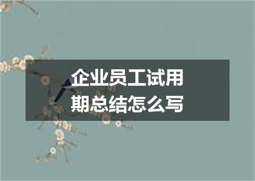 企业员工试用期总结怎么写