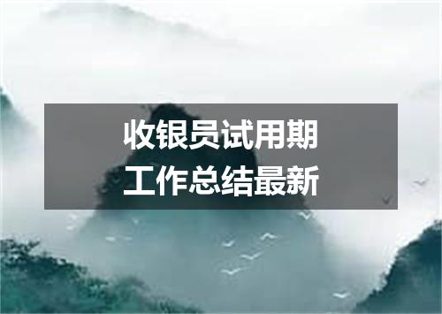 收银员试用期工作总结最新