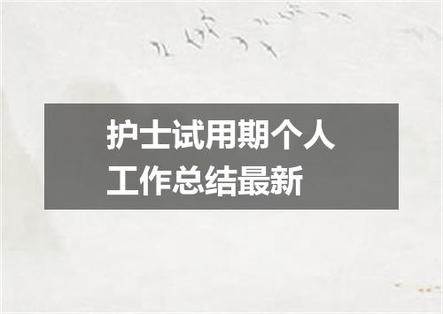 护士试用期个人工作总结最新