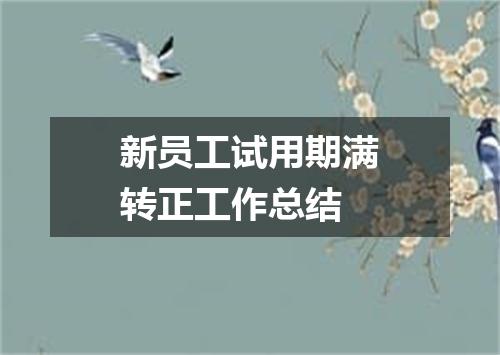 新员工试用期满转正工作总结