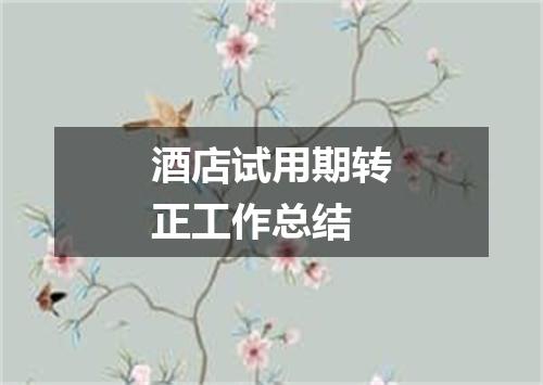 酒店试用期转正工作总结