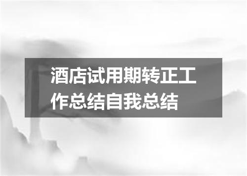 酒店试用期转正工作总结自我总结