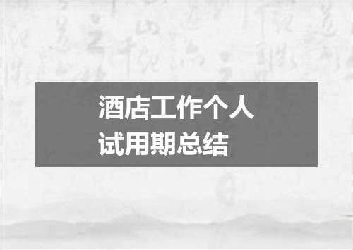 酒店工作个人试用期总结