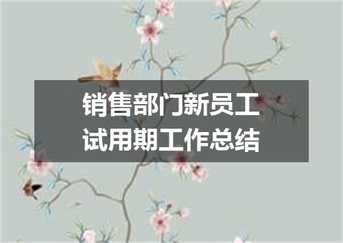 销售部门新员工试用期工作总结