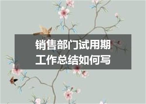 销售部门试用期工作总结如何写