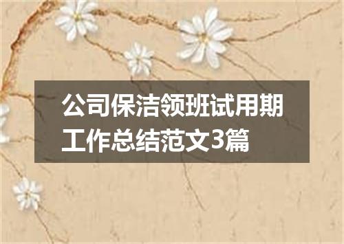 公司保洁领班试用期工作总结范文3篇