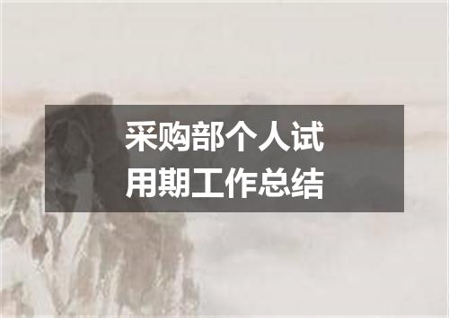 采购部个人试用期工作总结