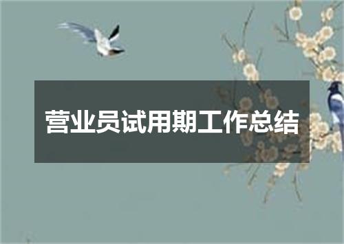 营业员试用期工作总结