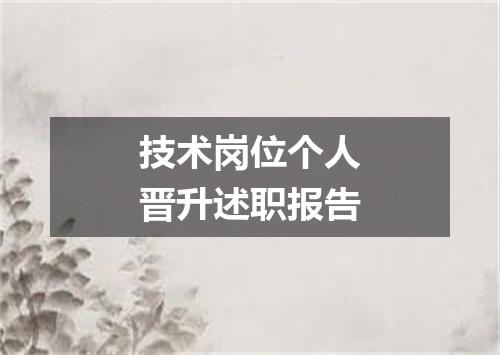 技术岗位个人晋升述职报告