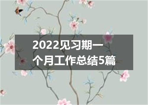 2022见习期一个月工作总结5篇