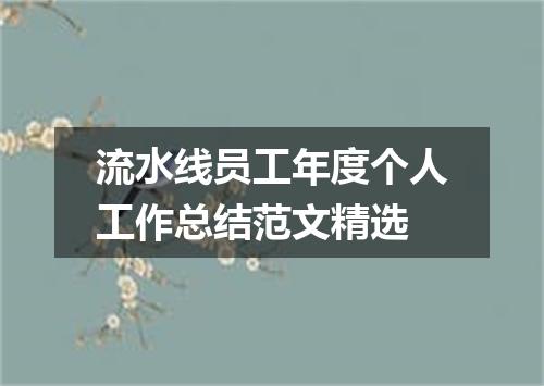 流水线员工年度个人工作总结范文精选