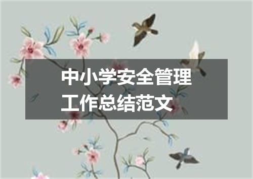 中小学安全管理工作总结范文