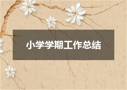 小学学期工作总结