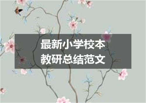 最新小学校本教研总结范文