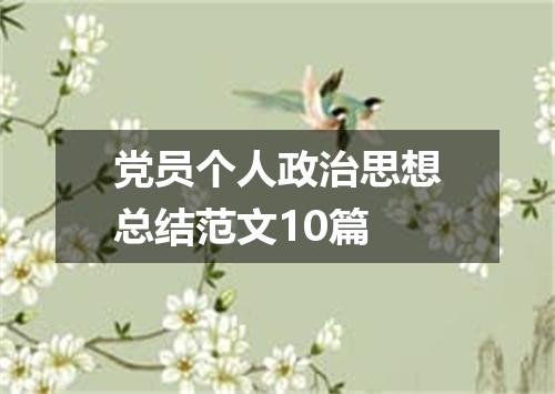党员个人政治思想总结范文10篇