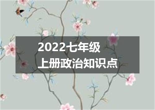 2022七年级上册政治知识点