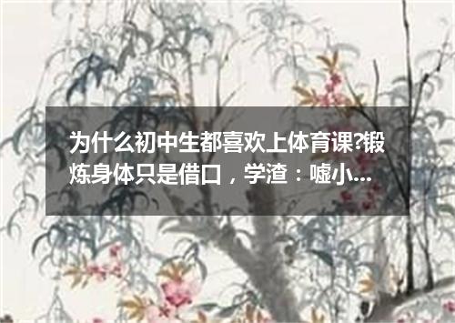 为什么初中生都喜欢上体育课?锻炼身体只是借口，学渣：嘘小声点!