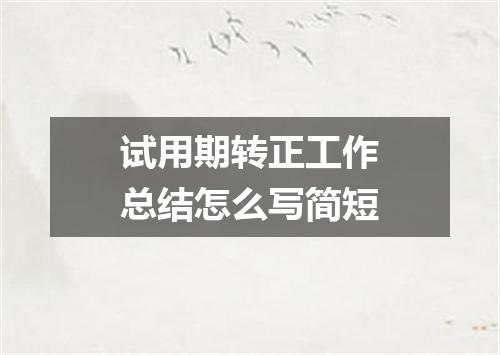 试用期转正工作总结怎么写简短
