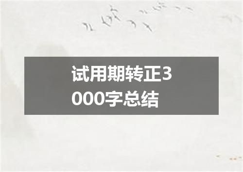 试用期转正3000字总结