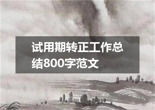 试用期转正工作总结800字范文