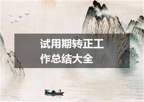 试用期转正工作总结大全