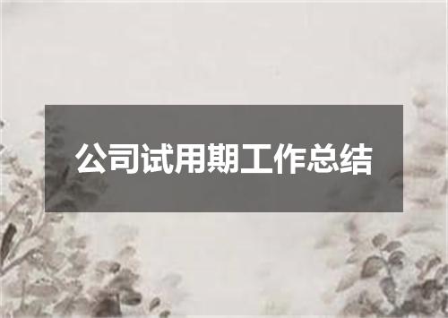 公司试用期工作总结