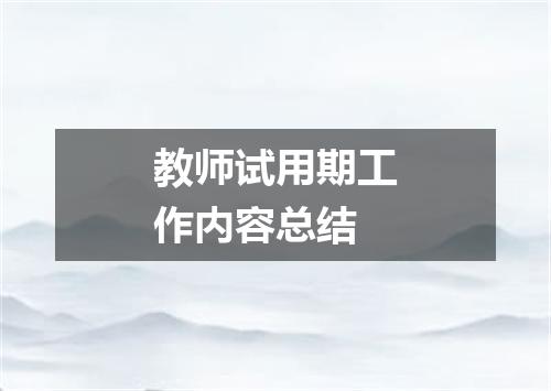 教师试用期工作内容总结