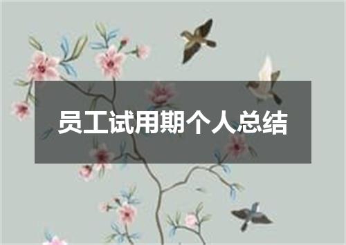 员工试用期个人总结
