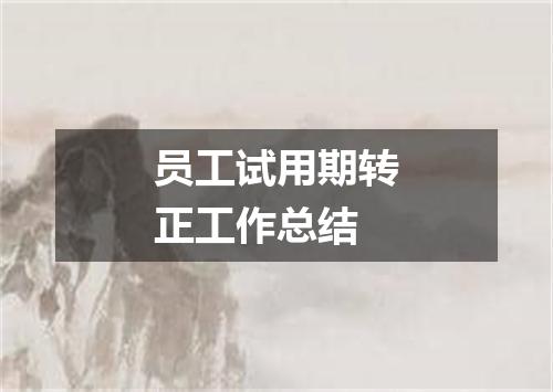 员工试用期转正工作总结