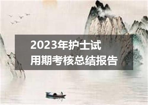 2023年护士试用期考核总结报告