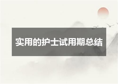 实用的护士试用期总结