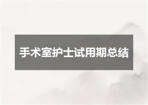 手术室护士试用期总结