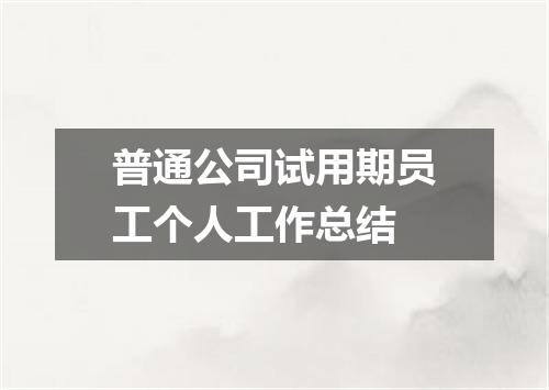 普通公司试用期员工个人工作总结