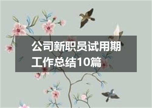 公司新职员试用期工作总结10篇