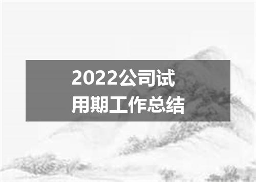 2022公司试用期工作总结