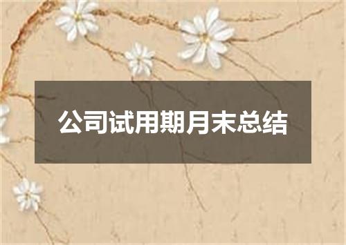 公司试用期月末总结