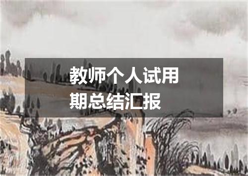 教师个人试用期总结汇报