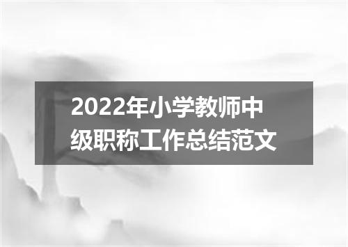 2022年小学教师中级职称工作总结范文