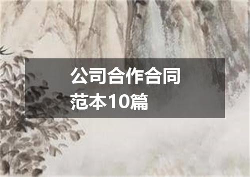 公司合作合同范本10篇