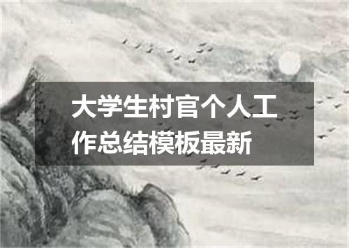 大学生村官个人工作总结模板最新