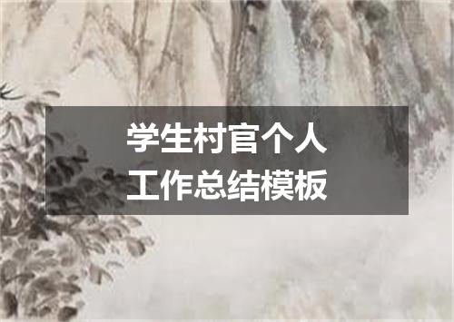 学生村官个人工作总结模板