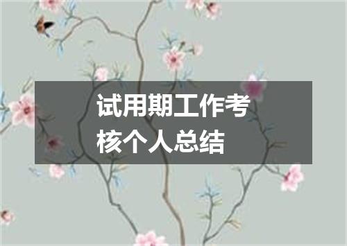 试用期工作考核个人总结