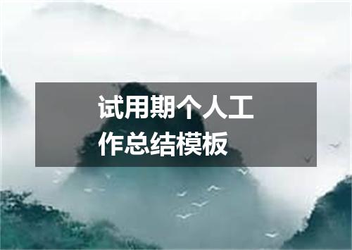 试用期个人工作总结模板