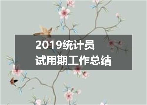 2019统计员试用期工作总结