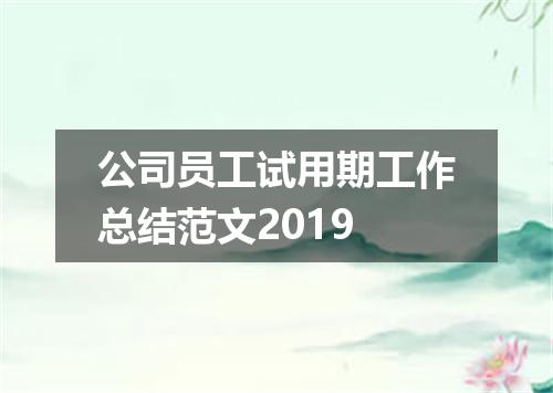公司员工试用期工作总结范文2019