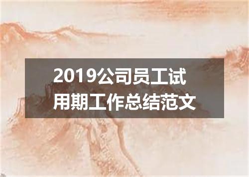 2019公司员工试用期工作总结范文