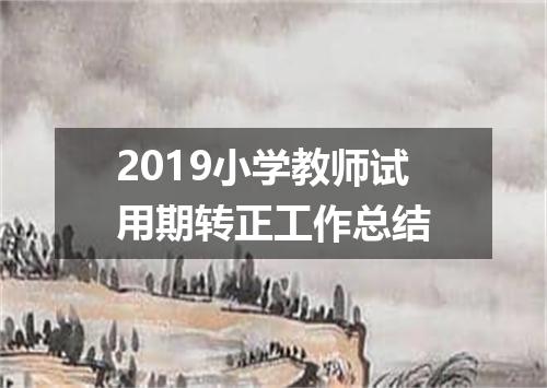2019小学教师试用期转正工作总结