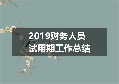 2019财务人员试用期工作总结