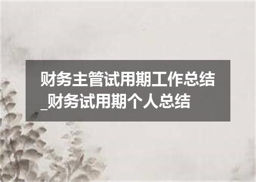 财务主管试用期工作总结_财务试用期个人总结