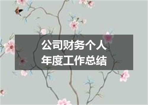公司财务个人年度工作总结
